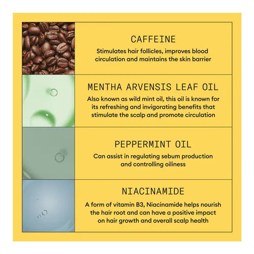 Nioxin System 1 Shampoo 1 Litre