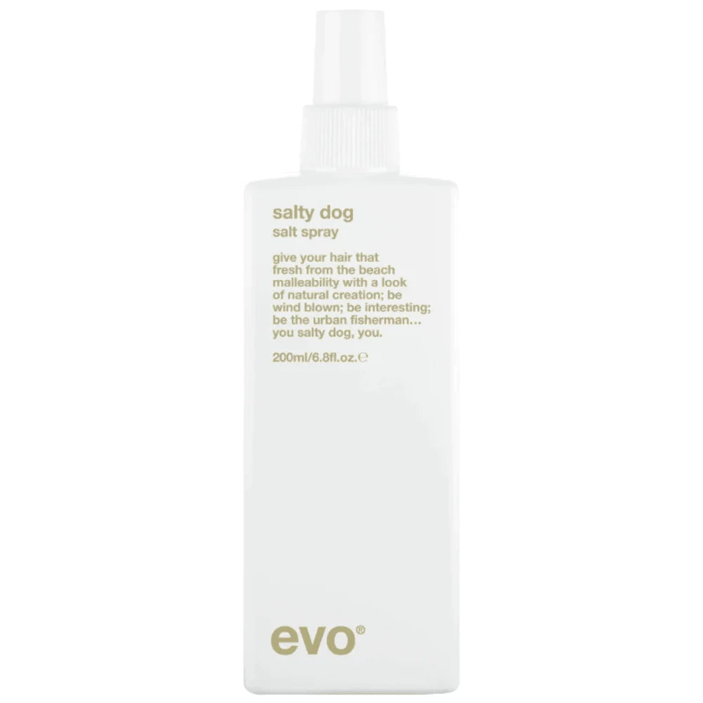 Evo Salty Dog Hair Salt Spray