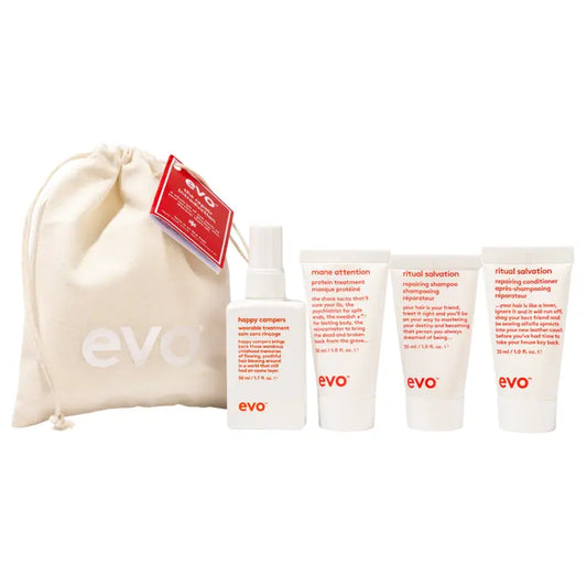 Evo The Mane Introduction Repair